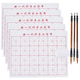 10 Sheets Gridded Magic Cloth Water-Writing, with 1Pc Spoon Shape Ink Tray Container and 3Pcs 3 Style Chinese Calligraphy Brushes Pen, Mixed Color, 9.6~43x4.4~33x0.01~2cm