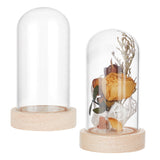 Glass Dome Cover, Decorative Display Case, Cloche Bell Jar Terrarium with Wood Base, for DIY Preserved Flower Gift, Clear, 62x108mm