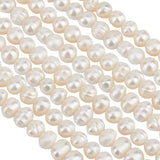 2 Strands Natural Cultured Freshwater Pearl Beads Strands, Rondelle, Antique White, 6~8x5~6mm, Hole: 0.6mm, about 28~30pcs/strand, 6.69 inch(17cm)