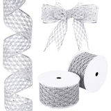 15 Yards Filigree Polyester Lace Trim, Sparkle Lace Ribbon, for Clothing Decoration, Flat, Silver, 2-1/2 inch(63mm)