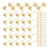 30Pcs 304 Stainless Steel Ball Stud Post, Earring Findings, with Horizontal Loops & 30Pcs Ear Nuts & 30Pcs Jump Rings, Golden, 17x8x5mm, Hole: 2mm