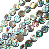 Natural Abalone Shell/Paua Shell Beads, Flat Round, 8x3mm, Hole: 0.5mm, 30pcs/box