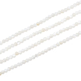 2 Strands Natural Freshwater Shell Beads Strands, Dyed, Round, Floral White, 2.5mm, Hole: 0.7mm, about 180~185pcs/Strand, 15.55 inch~15.91 inch