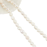 Natural Baroque Pearl Keshi Pearl Beads Strands, Cultured Freshwater Pearl, Nuggets, Seashell Color, 7~8mm, Hole: 0.8mm, about 46~48pcs/strand, 13.77 inch~14.17 inch, 2strands/box