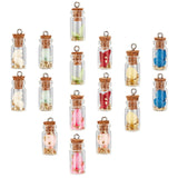 Glass Wishing Bottle Pendant Decorations, with Dried Flower  & Chip Gemstones inside, Cork Stopper and Platinum Iron Screw Eye Pin Peg Bails, Mixed Color, 27~29x11mm, Hole: 2mm, 8 colors, 2pcs/color, 16pcs/box