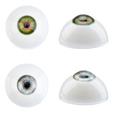 2 Colors Craft Eyes, Acrylic Outside and Resin Filling Inside, for Doll Making, Half Round, Mixed Color, 32.5x18mm, 1pair/color, 2pairs/set