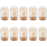 Arch Shape Glass Dome Bell Jar with Natural Mixed Cowrie Shell inside, for Home Decoration, PapayaWhip, 37x20mm, 10pcs/set