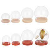 8 Sets 8 Style Round Glass Dome Cover, Decorative Display Case, Cloche Bell Jar Terrarium with Wood, Mixed Color, 23~35x21.5~36mm, 1 set/style