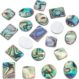 16Pcs 4 Style Natural Shell Cabochons, Including Abalone Shell/Paua Shell & Freshwater Shell, Mixed Shapes, Colorful, 10~15x10x3mm, 4pcs/style