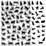 Custom PVC Plastic Clear Stamps, for DIY Scrapbooking, Photo Album Decorative, Cards Making, Stamp Sheets, Film Frame, Cat Shape, 160x110x3mm