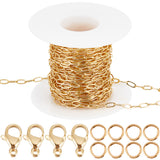 DIY Chain Bracelet Necklace Making Kit, Including Brass Paperclip Chains & Jump Rings, 304 Stainless Steel Lobster Claw Clasps, Real 18K Gold Plated, Chain: 5M/set