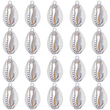 20Pcs Electroplated Natural Cowrie Shell Pendants, Shell Charm with Iron Findings, Platinum, 18~24x10~14x6~7mm, Hole: 1.5mm