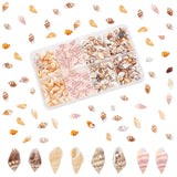 240Pcs Natural Conch Shell Beads & 45Pcs Shell Pendants, Mixed Color, 7~25x3~10x3~12mm, Hole: 1mm