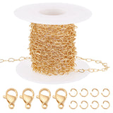 DIY Chain Bracelet Necklace Making Kit, Including Brass Heart Link Chains, 304 Stainless Steel Clasps & Jump Rings, Golden, Chain: 5m/bag