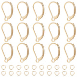 20Pcs 304 Stainless Steel Leverback Earring Findings, with 20Pcs Rack Plating Brass Jump Rings, Real 24K Gold Plated, 16.5x10x2mm, Pin: 1mm