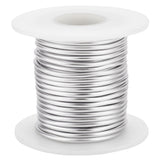 Custom Round Aluminum Wire, Platinum, 10 Gauge, 2.5mm, about 32.81 Feet(10m)/Roll