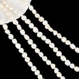 2 Strands Natural Cultured Freshwater Keshi Pearl Beads Strands, Baroque Pearls, Two Sides Polished, Seashell Color, 8~14x7~9x4~7mm, Hole: 0.8mm, about 34pcs/strand, 14.5 inch