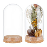 Glass Dome Cover, Decorative Display Case, Cloche Bell Jar Terrarium with Cork Base, Arch, Clear, 160mm