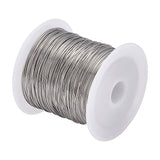 1 Roll Tiger Tail Wire, 316 Surgical Stainless Steel, for Jewelry Making, Stainless Steel Color, 24 Gauge,0.5mm,about 75.45 Feet(23m)/roll