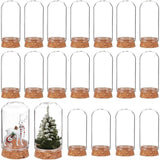 20 Set Glass Dome Cover, Decorative Display Case, Cloche Bell Jar Terrarium with Cork Base, Arch, Clear, 30x57.5mm