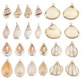 24Pcs 6 Style Electroplate Shell Pendants, with Iron Findings, 4pcs/style