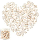 Natural Trumpet Shell Beads, Mixed, White, 19~21x10~11x8~9mm, Hole: 1mm, about 100g/box