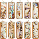 10Pcs Shell Pendants, with Golden Plated Brass Double Enamel Settings, Rectangle, Colorful, 27x9x4mm, Hole: 1.5mm