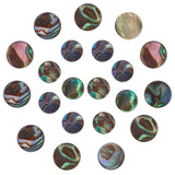 Natural Abalone Shell/Paua Shell Beads Strands, Flat Round, Colorful, 20pcs/box