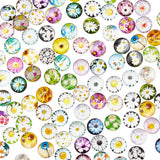 Glass Cabochons, Half Round with Daisy Pattern, Flower Pattern, 1/2 inch(12mm), 100pcs/bag