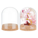 Glass Dome Cover, Decorative Display Case, Cloche Bell Jar Terrarium with Cork Base, Arch, Clear, 107mm