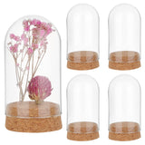 4 Sets Transparent Glass Dome, Bell Jar Cloche Display Cases, with Cork Pedestals, for Plants, Candles Office Home Decor, Clear, 46.5x85mm