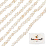 2 Strands Natural Cultured Freshwater Pearl Beads Strands, Potato, Seashell Color, 1.5~2x1.5~3x1.5~2mm, Hole: 0.5mm, about 142pcs/strand, 13.78 inch(35cm)