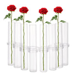 Glass Tube, Hydroponic Plant Vase, with Plastic S-shaped Hook, Clear, 30.5x180mm, Inner Diameter: 27mm