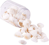 Shell Beads, Undrilled/No Hole Beads, White, 19~34x14~26.5x2~3.5mm, 45~55pcs/box