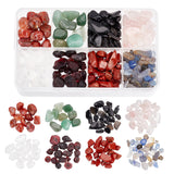 158G 8 Styles Natural Mixed Stone Beads, Natural Rose Quartz & Quartz Crystal & Garnet & Green Aventurine & Red Jasper & Carnelian & Agate & Obsidian, No Hole/Undrilled, Chips, Mixed Dyed and Undyed, 8~22x5~10x1~7mm