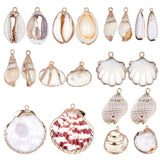 Electroplate Natural Shell Pendants, with Golden Plated Iron Findings, Mixed Shapes, Seashell Color, 20pcs/box