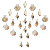 Electroplate Acrylic Pendants, Imitation Gemstone Style, Shell & Spiral Shell, Floral White, 28x28x6.5mm, Hole: 1.8mm, 24pcs/box