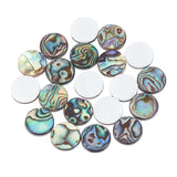 Natural Abalone Shell/Paua Shell Cabochons, with Freshwater Shell, Flat Round, Colorful, 12x3mm, 20pcs/box