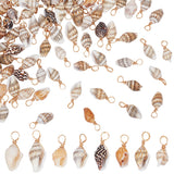 100Pcs Natural Shell Pendants, Shell Charms with Copper Wire, Real 18K Gold Plated, 18~23x7~10x6~7.5mm, Hole: 3.7mm