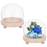 2 Sets High Borosilicate Glass Dome Cover, Decorative Display Case, Round Cloche Bell Jar Terrarium with Feet Wood Base, Clear, 100mm
