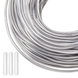 SUPERDANT 30M Aluminum Wire, Round, for Hat, Hair Ornament Making, with 100Pcs Silicone End Caps, Platinum, 12 Gauge, 2mm