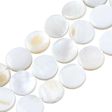 DIY Jewelry Making Kit, Including Natural Freshwater Shell Beads Strands, Flat Round, Strong Stretchy Beading Elastic Thread, Seashell Color, 9x9x2mm, Hole: 1mm, about 45pcs/strand, 3 Strand