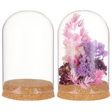 Glass Dome Cover, Decorative Display Case, Cloche Bell Jar Terrarium with Cork Base, Arch, Clear, 80x133mm
