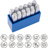 Iron Seal Stamps, Stamping Tools, for Leather Craft, Twelve Constellations Pattern, Platinum, 65.5x10mm, Pattern: 6mm, 12pcs/box