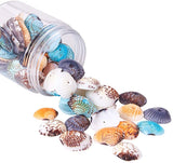 Shell Beads, Dyed, Mixed Color, 32~37x20~29x8~10mm, Hole: 1mm, about 50~56pcs/box