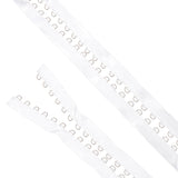 Polyester with Iron D Rings Ribbon, Webbing Garment Sewing Accessories, White, 24~36mm