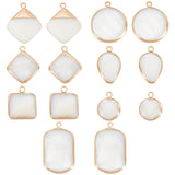 14Pcs 7 Styles Natural Freshwater Shell Pendants, with Brass Findings, Rhombus & Square & Flat Round, Mixed Shapes, Golden, 16~29x13~17x4~5mm, Hole: 2mm, 2pcs/style