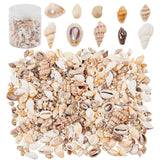 Natural Sea Shell Beads Kits,  Spiral Shell, Cowrie Shell, Trumpet Shell, Ark Shell, Snail Shell, Seashell Color, 7~40x3~22x3~15mm, 175g/box