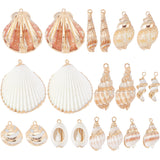 20Pcs 10 Styles Electroplated Natural Mixed Shell Pendants, Shell Charms, with Iron Loops, Mixed Color, 17~52x10~38x5~18mm, Hole: 1.2~2mm, 2pcs/style