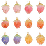 12Pcs 6 Colors Opaque Acrylic Charms, with Golden Plated Brass Finding, Strawberry, Mixed Color, 14x10x9.5mm, Hole: 1.5mm, 2pcs/color